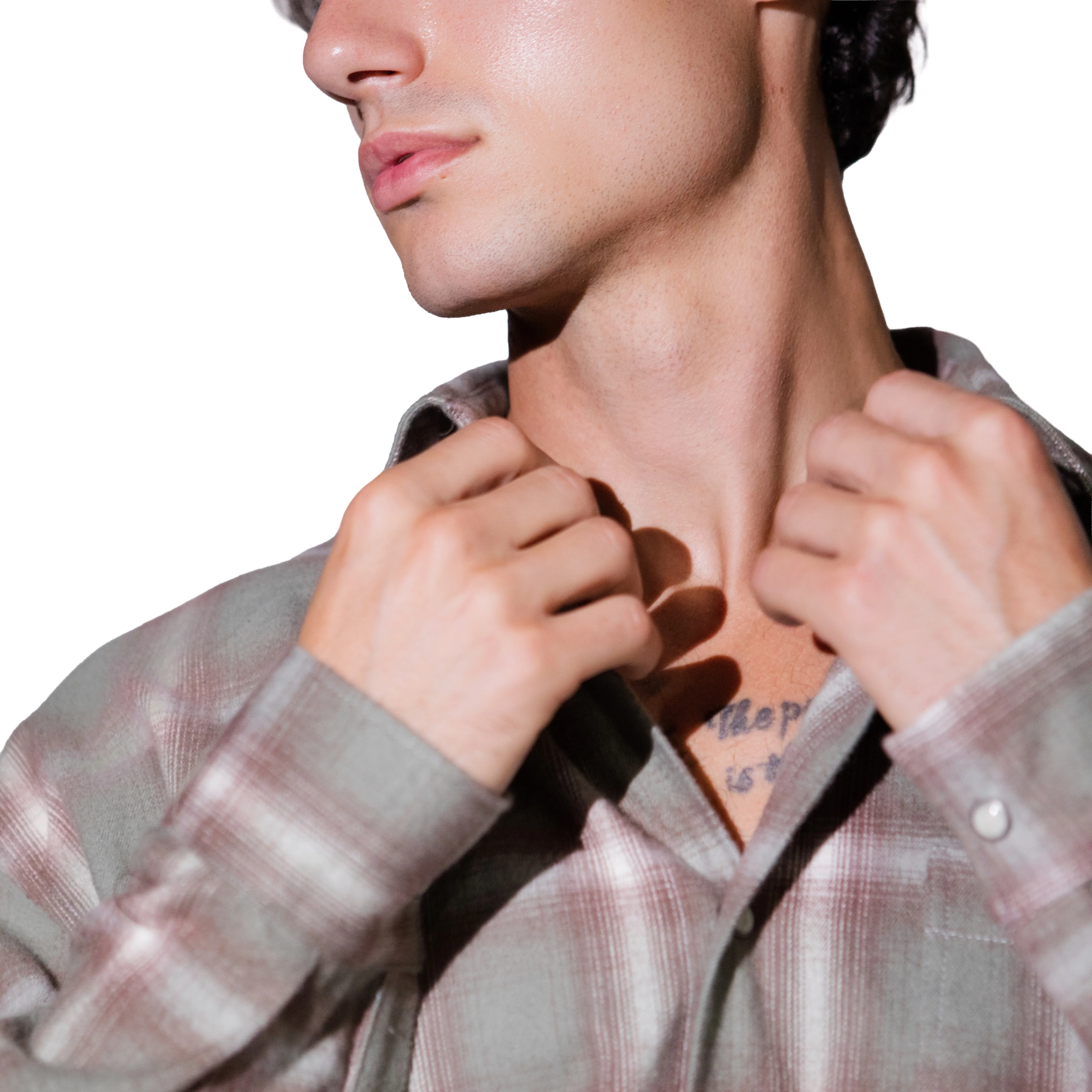 THE SAGE PLAID - Image 4